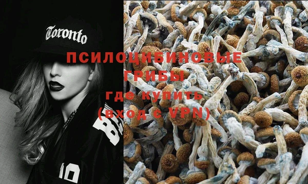 Альфа ПВП Карталы