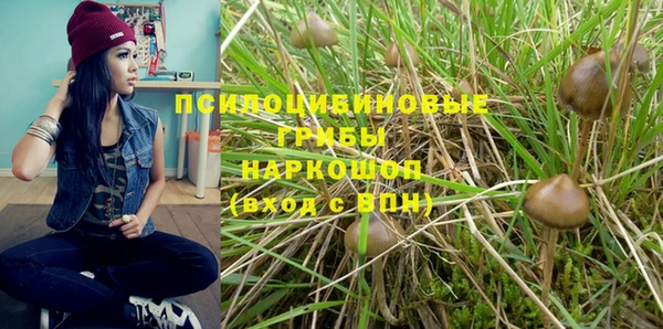 a pvp Касимов