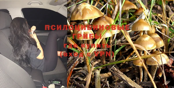 a pvp Касимов
