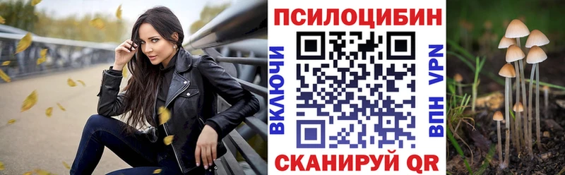 Псилоцибиновые грибы мухоморы  Купить закладки  Вичуга 